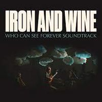 Cover image for Who Can See Forever 