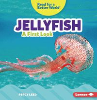 Cover image for Jellyfish: A First Look