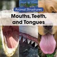 Cover image for Mouths, Teeth, and Tongues