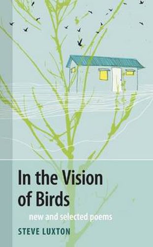 Cover image for In the Vision of Birds