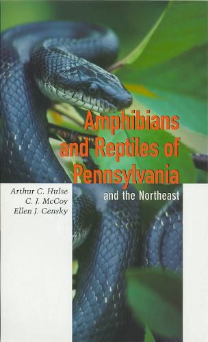 Cover image for Amphibians and Reptiles of Pennsylvania and the Northeast