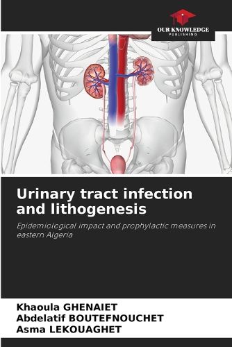 Cover image for Urinary tract infection and lithogenesis