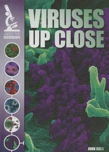 Cover image for Viruses Up Close