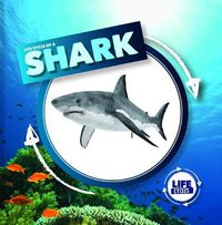 Cover image for Life Cycle of a Shark