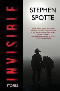 Cover image for Invisible: Stories