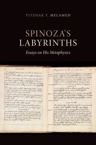 Cover image for Spinoza's Labyrinths