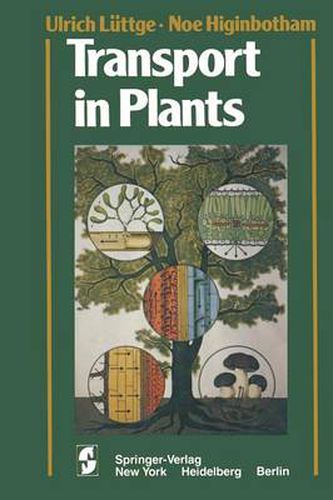 Cover image for Transport in Plants