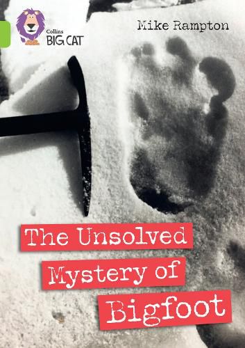 The Unsolved Mystery of Bigfoot