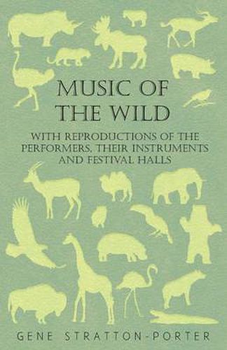 Cover image for Music of the Wild - With Reproductions of the Performers, Their Instruments and Festival Halls