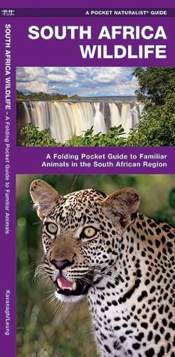 Cover image for South Africa Wildlife: A Folding Pocket Guide to Familiar Animals