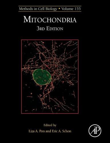 Mitochondria Biology