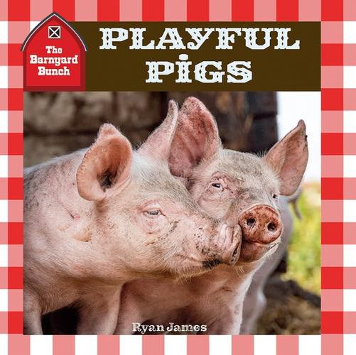 Cover image for Playful Pigs