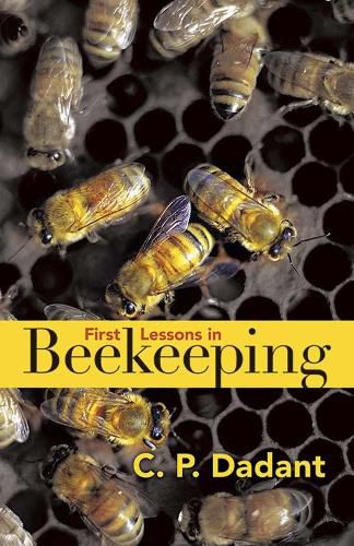 Cover image for First Lessons in Beekeeping