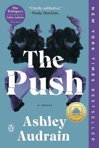Cover image for The Push: A Novel