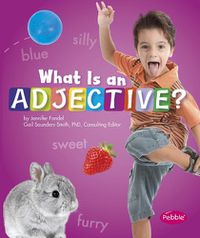 Cover image for What Is an Adjective?