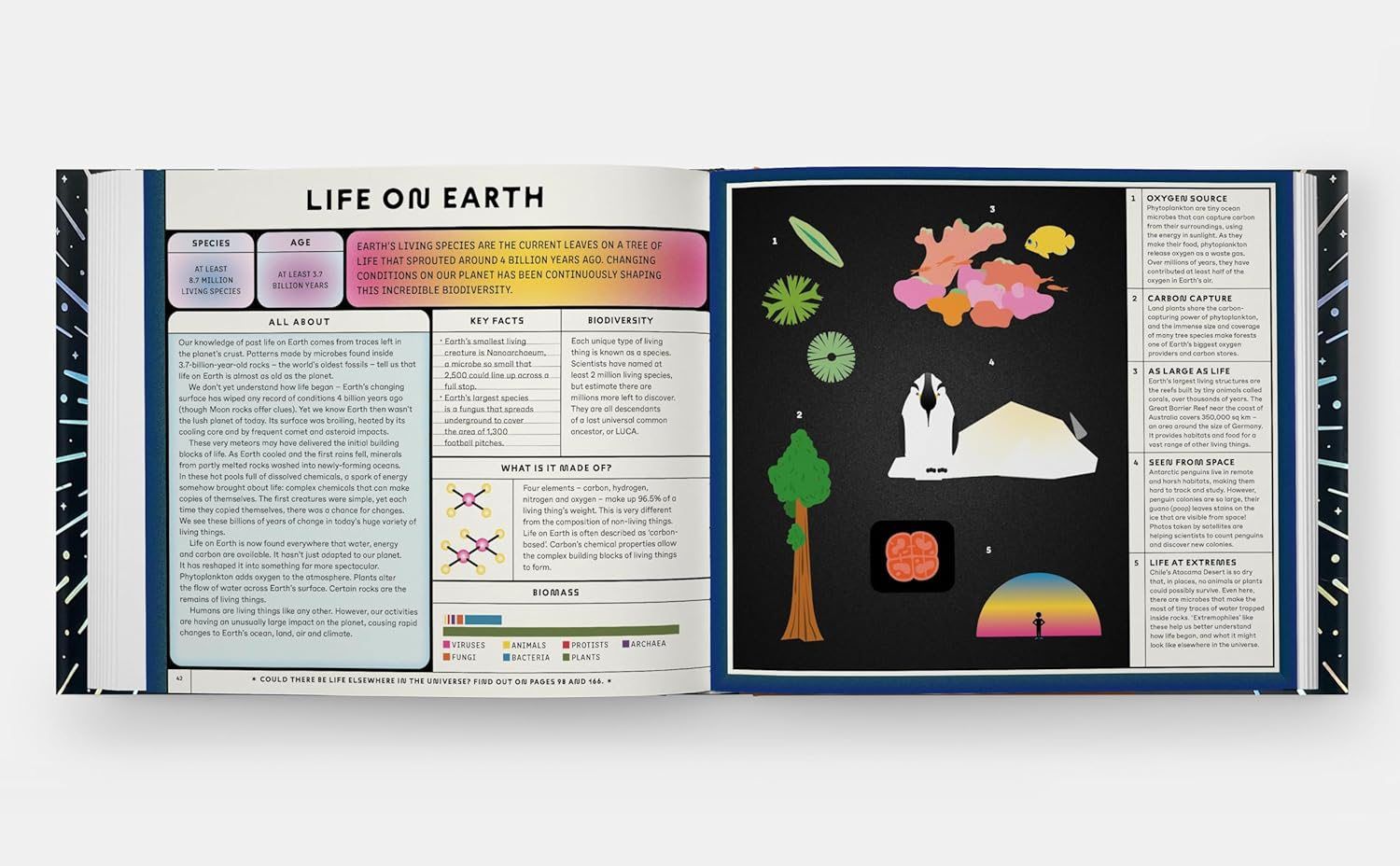 Exploring the Universe