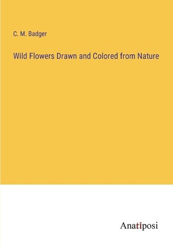 Cover image for Wild Flowers Drawn and Colored from Nature