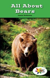 Cover image for All about Bears