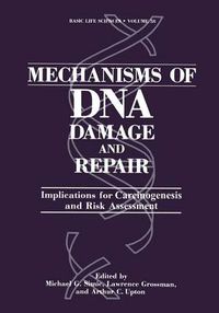 Cover image for Mechanisms of DNA Damage and Repair: Implications for Carcinogenesis and Risk Assessment