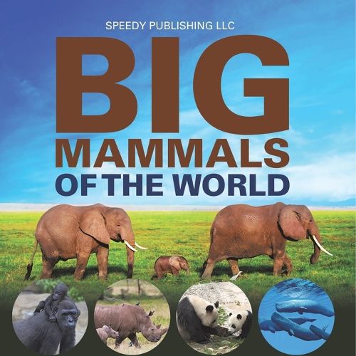 Cover image for Big Mammals Of The World