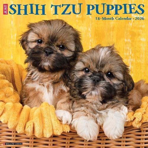 Cover image for Shih Tzu Puppies 2026 Wall Calendar