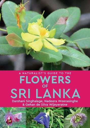 Cover image for A Naturalist's Guide to the Flowers of Sri Lanka