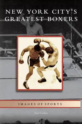 Cover image for New York City's Greatest Boxers