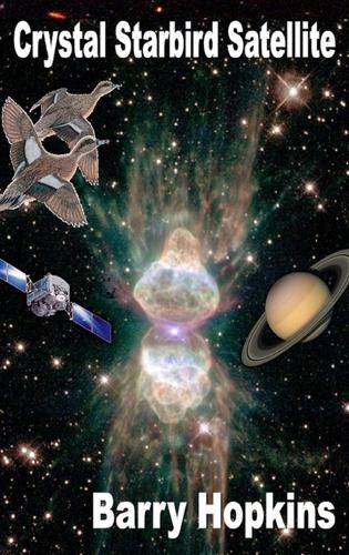 Cover image for Crystal Starbird Satellite