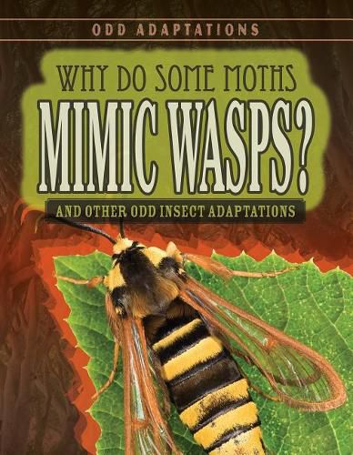 Cover image for Why Do Some Moths Mimic Wasps?: And Other Odd Insect Adaptations