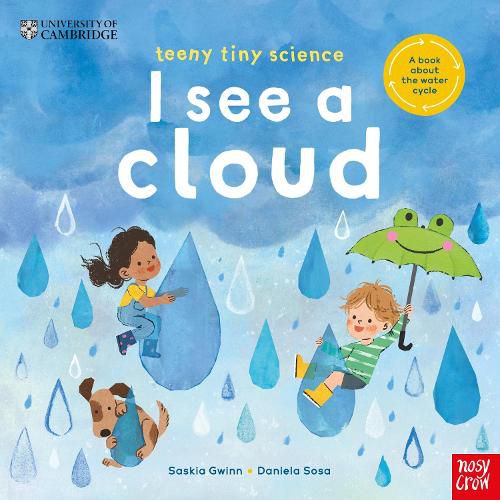 Cover image for University of Cambridge: Teeny Tiny Science: I See a Cloud