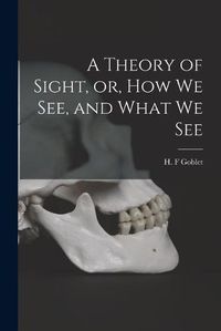 Cover image for A Theory of Sight, or, How We See, and What We See