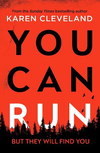 Cover image for You Can Run: An unputdownable thriller