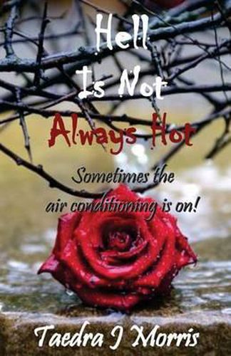 Cover image for Hell Is Not Always Hot: Sometimes the air conditioning is on!!