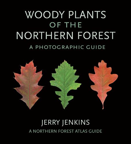 Cover image for Woody Plants of the Northern Forest: A Photographic Guide