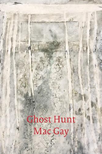 Cover image for Ghost Hunt