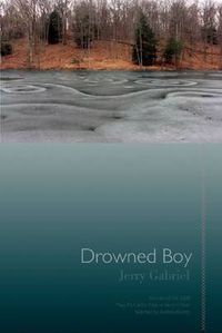 Cover image for Drowned Boy: Stories