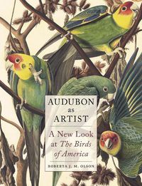 Cover image for Audubon as Artist