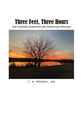 Cover image for Three Feet, Three Hours