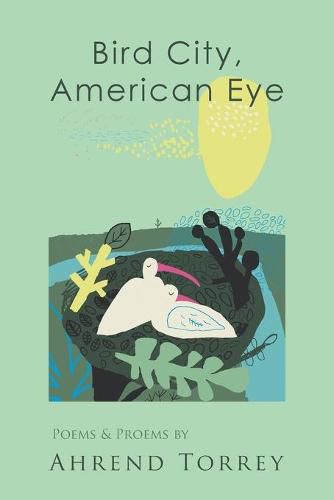 Cover image for Bird City, American Eye