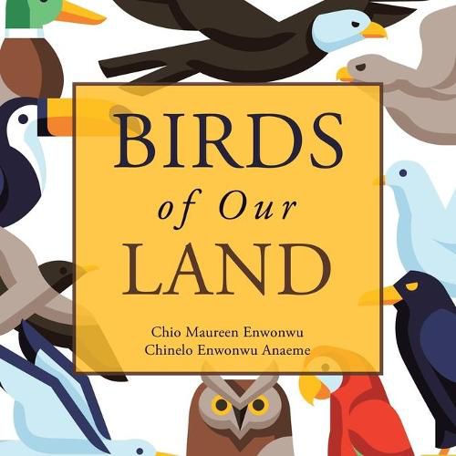 Cover image for Birds of Our Land