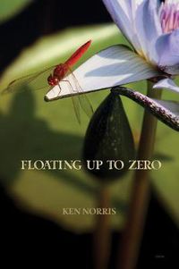 Cover image for Floating Up to Zero