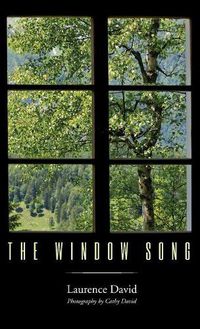 Cover image for The Window Song