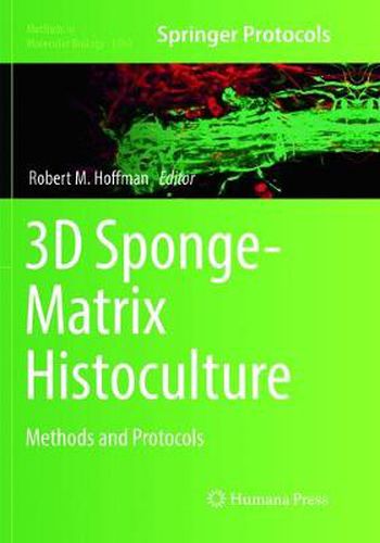 3D Sponge-Matrix Histoculture: Methods and Protocols