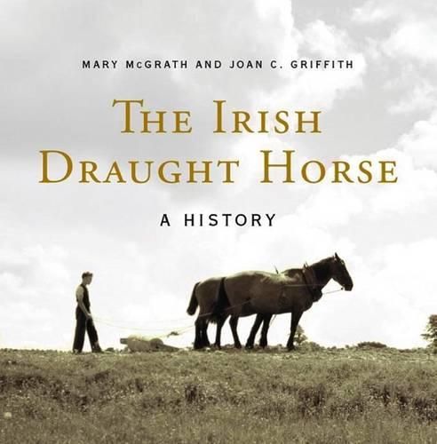 The Irish Draught Horse: A History