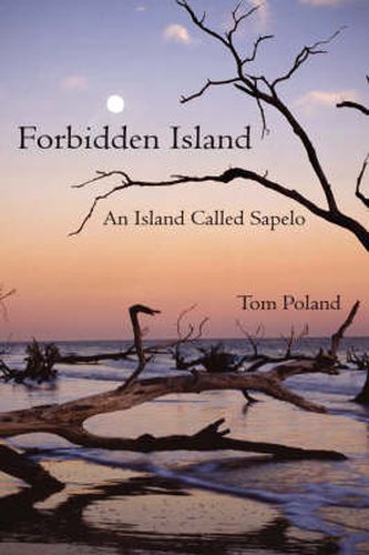 Cover image for Forbidden Island