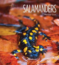 Cover image for Salamanders