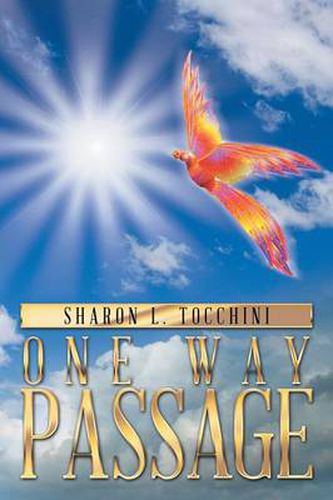 Cover image for One Way Passage