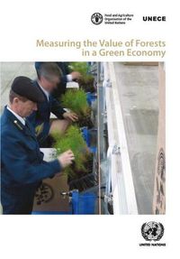 Cover image for Measuring the value of forests in a green economy