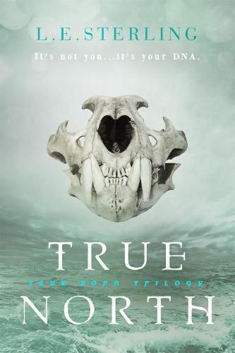 Cover image for True North