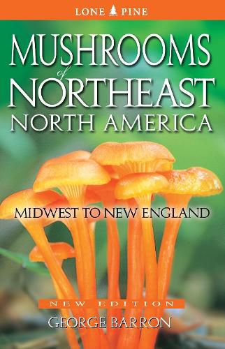 Cover image for Mushrooms of Northeast North America: Midwest to New England